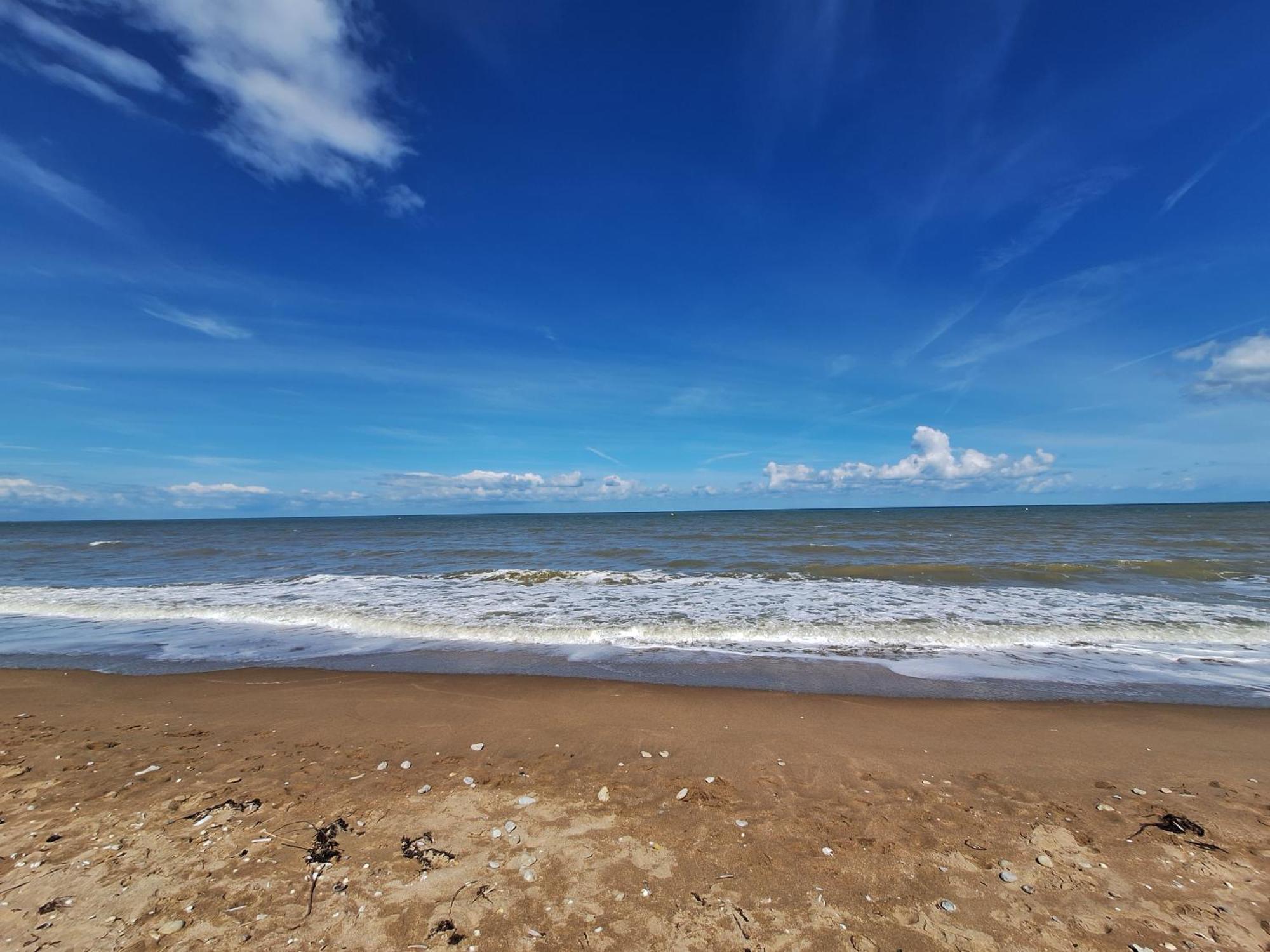 Super Deauville Appartement 2 Pieces Cosy Proche Plage Plein Sud 빌레쉬르메르 외부 사진